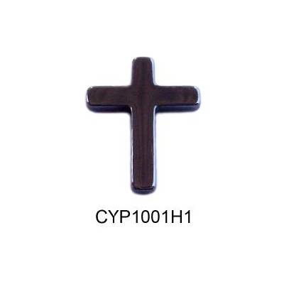 CYP1001H1