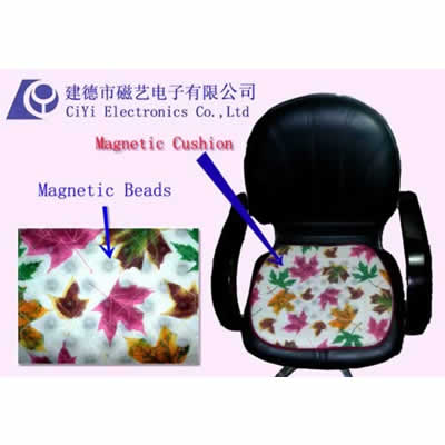 Magnetic Health Cushion
